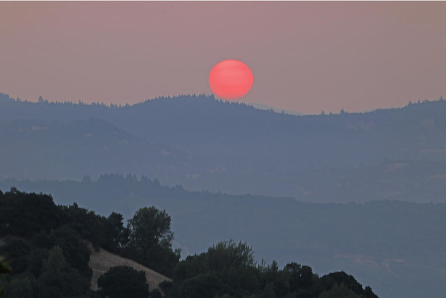 D7B6391 Smoky Sunrise from Sonoma Mountain Photograph by Ed Cooper Photography