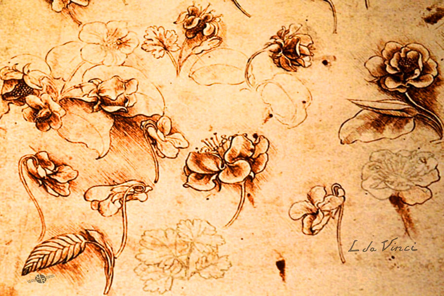 Da Vinci Flower Study Gold By Da Vinci Painting by Tony Rubino