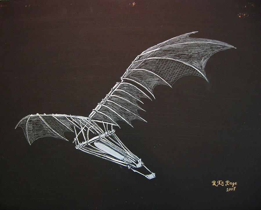 Da Vinci Flying Machine Painting by Richard Le Page