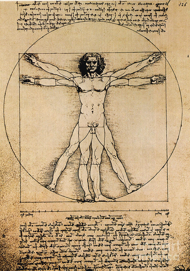 Leonardo Da Vinci Photograph - Da Vinci Rule Of Proportions by Science Source