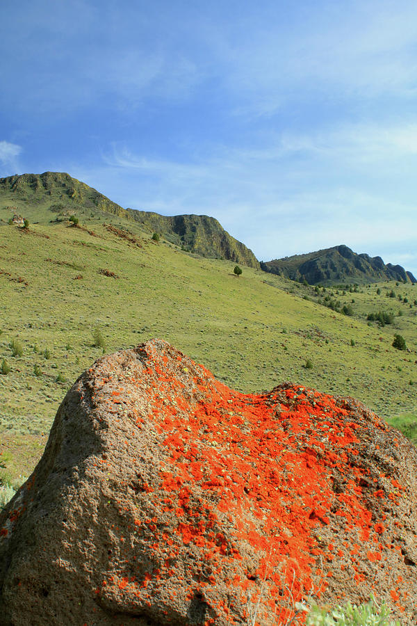 DA5872 Lichen Covered Rock below Abert Rim Photograph by Ed Cooper Photography