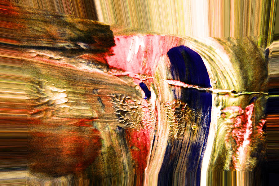 Abstract Photograph - Dabbed Abstract by Jeff Swan