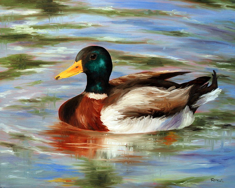 Dabbling Duck Painting by Rachel Lawson