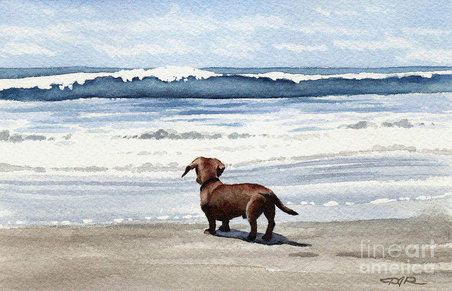 Dachshund Painting - Dachshund at the Beach by David Rogers