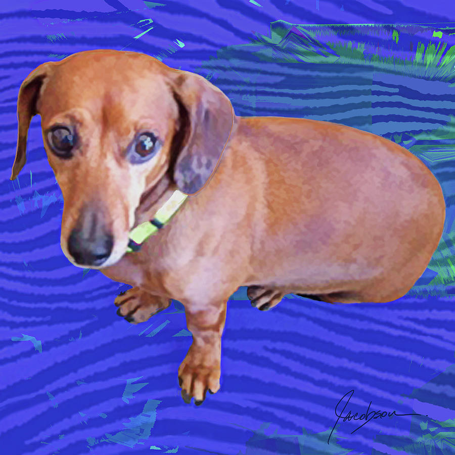 Dachshund Blue by Jackie Jacobson Dachshund Blue by Jackie Jacobson