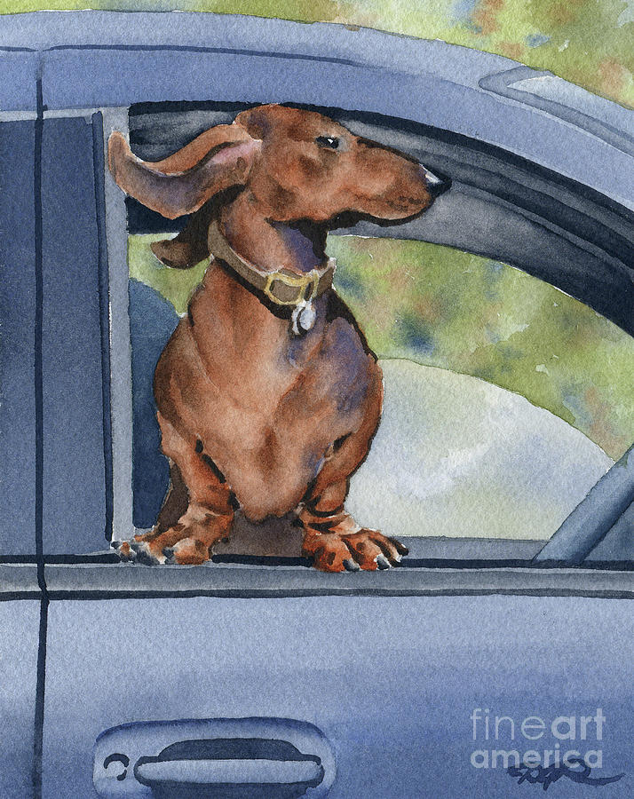 Dachshund Painting - Dachshund in a Car by David Rogers