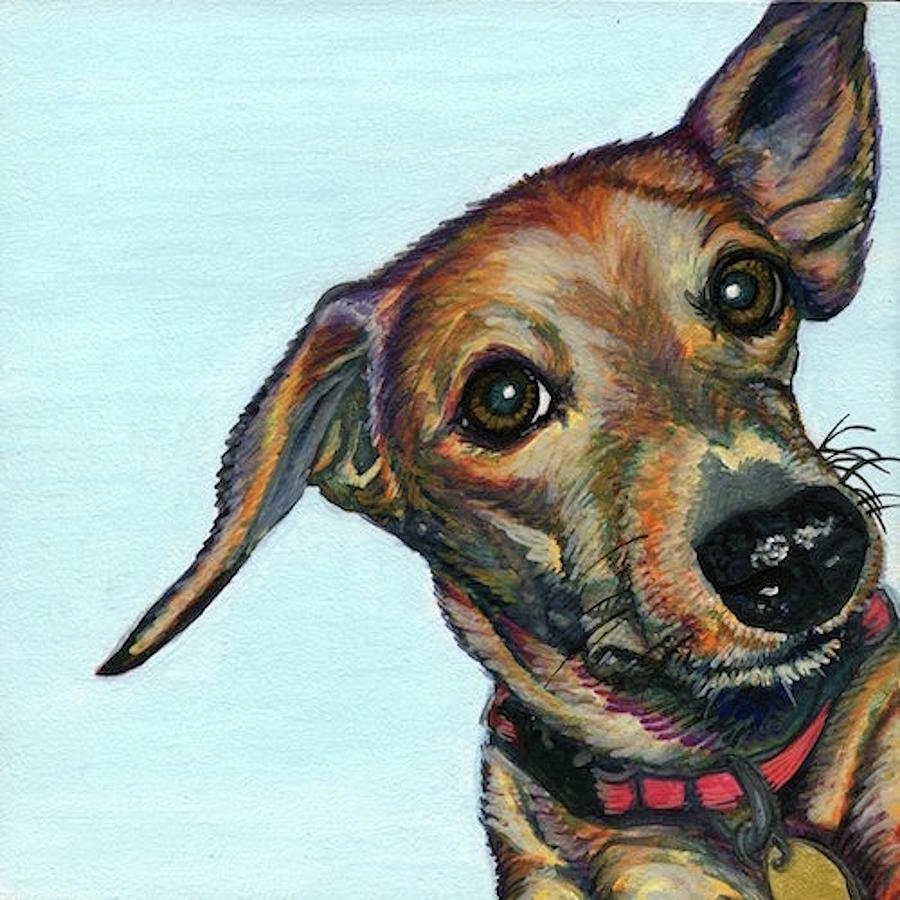 Jack Russell Dachshund Mix Oil Portrait Of Oskie, 51% OFF