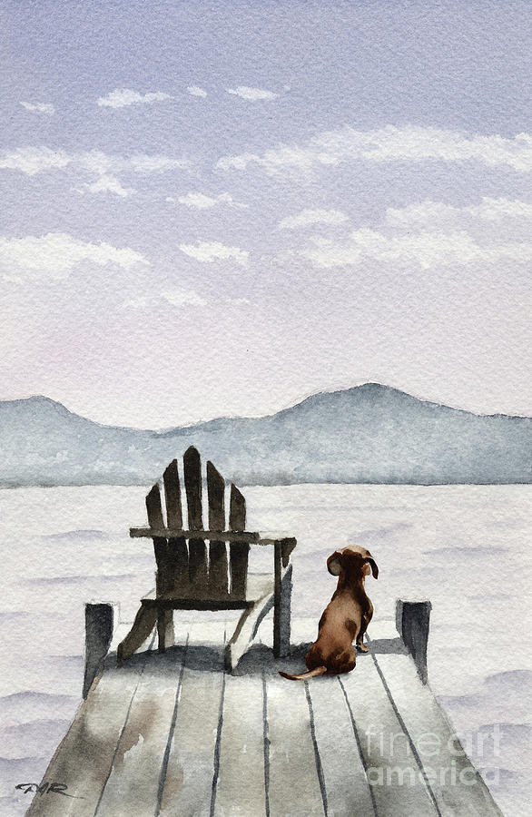 Dachshund Painting - Dachshund on the Dock  by David Rogers