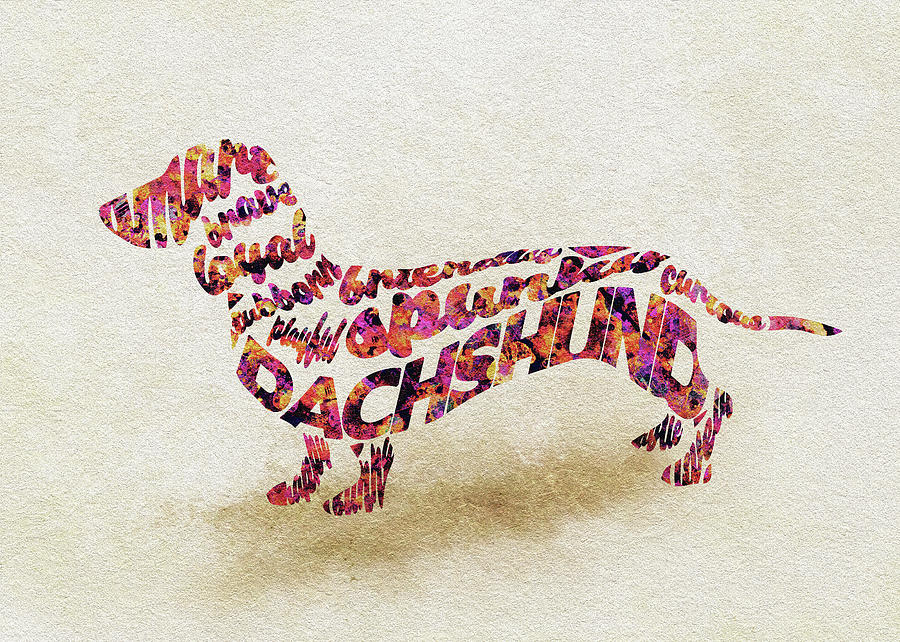 Dachshund / Sausage Dog Watercolor Painting / Typographic Art Painting by Inspirowl Design