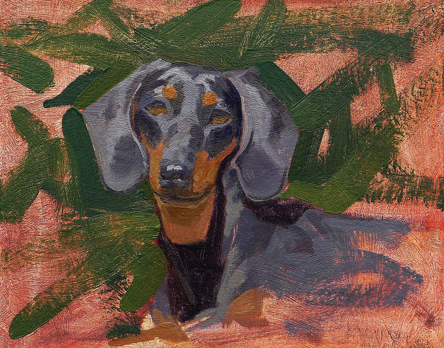 Dog Painting - Dachshund by Taylor Paints
