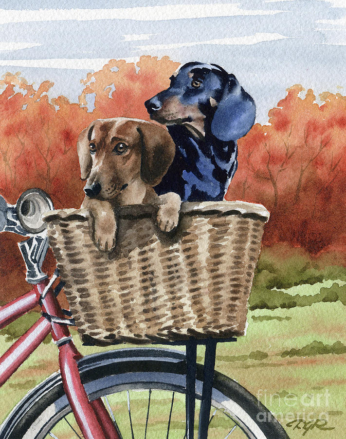 Dachshund Painting - Dachshunds on a Bike  by David Rogers