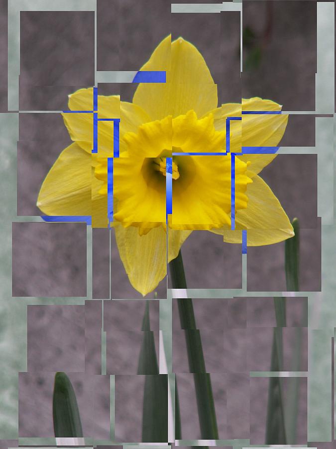 Daffodil 1 Digital Art by Tim Allen
