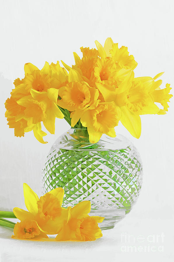 Daffodils Photograph - Daffodil Bouquet by Regina Geoghan