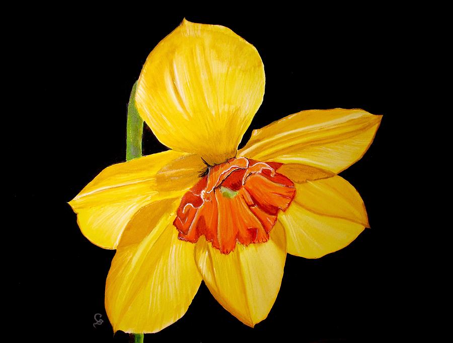 Spring Painting - Daffodil by Carol Blackhurst