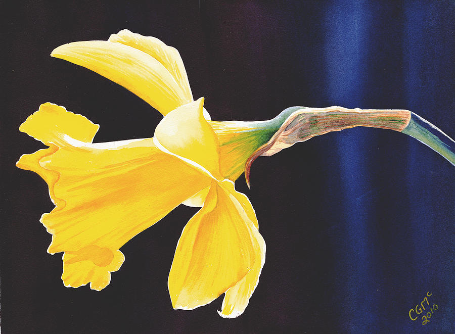 Daffodil Painting by Catherine G McElroy