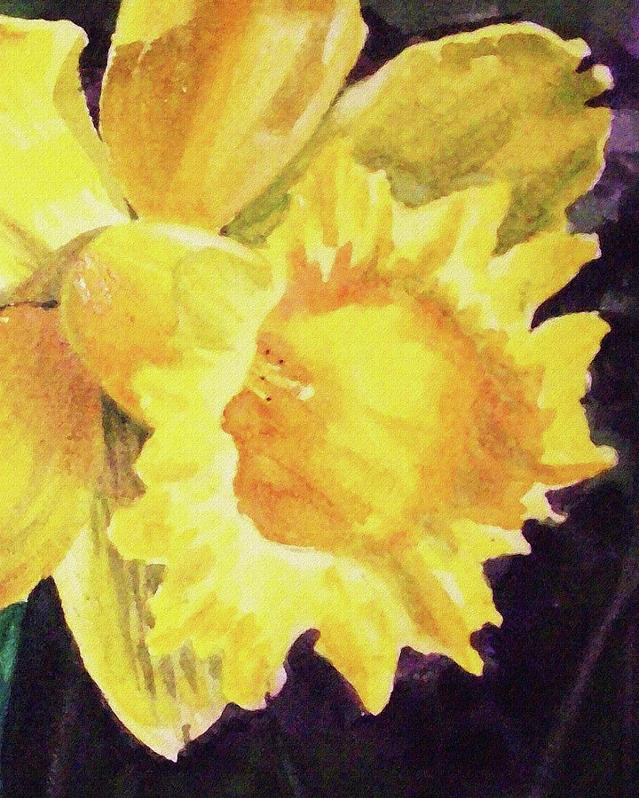 Daffodil Close Up  Painting by Irina Sztukowski