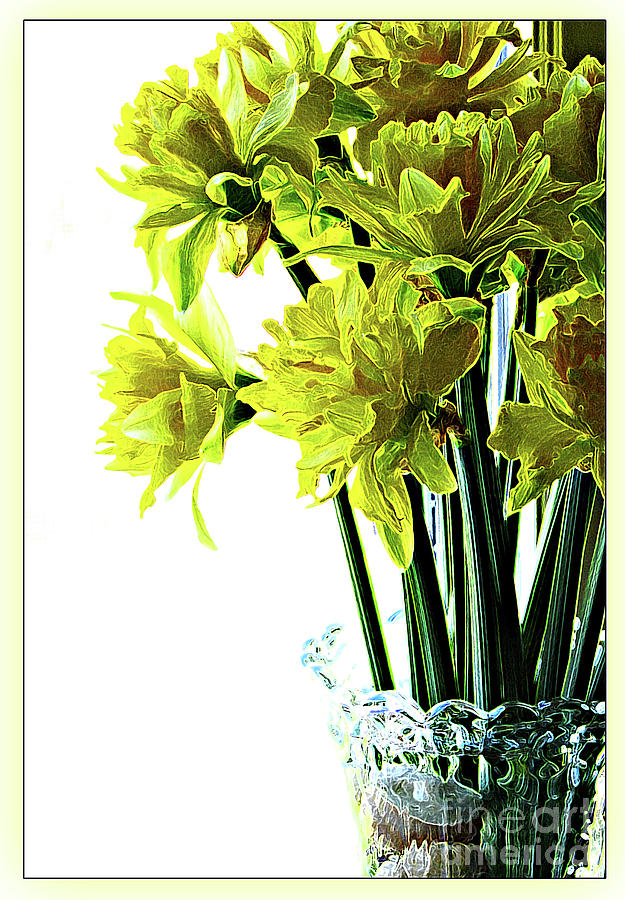 Daffodil Delight Photograph by Deborah Johnson