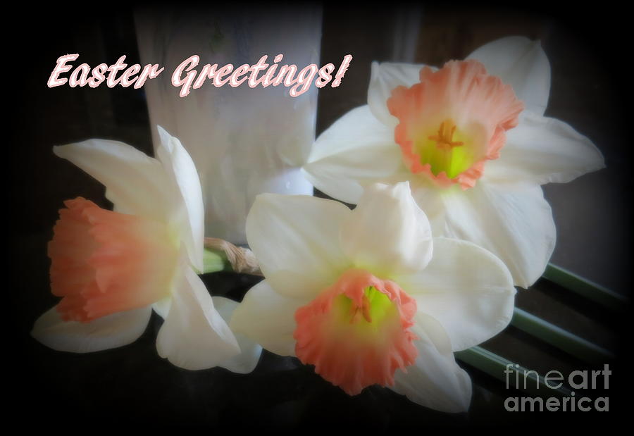 Daffodil Easter Greetings Card Photograph by Kay Novy