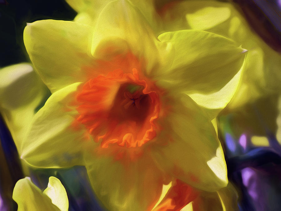 Daffodil Gold Mixed Media by Lynda Lehmann