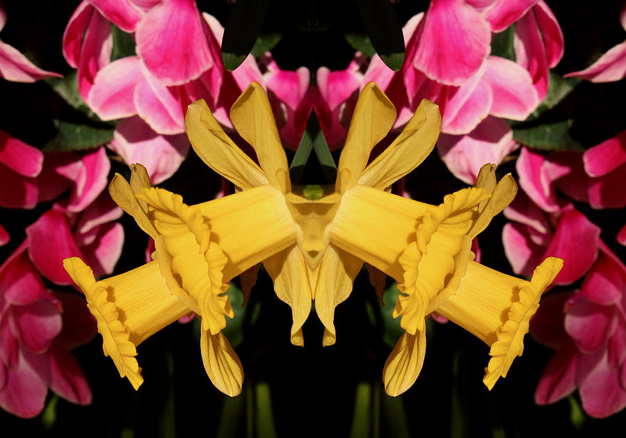 Daffodil Mask Photograph by Bruce Richardson