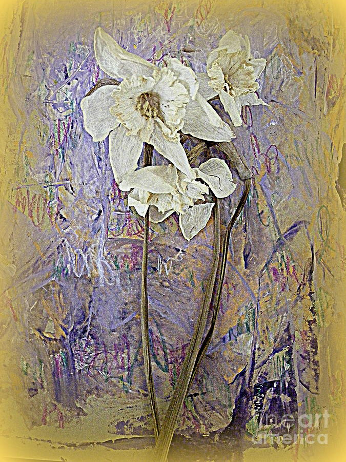 Daffodil Memories Digital Art by Nancy Kane Chapman