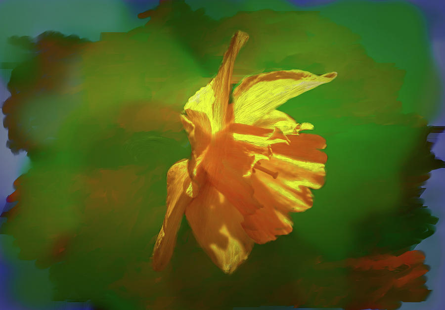 Daffodil On Green Abstract #hh3 Digital Art