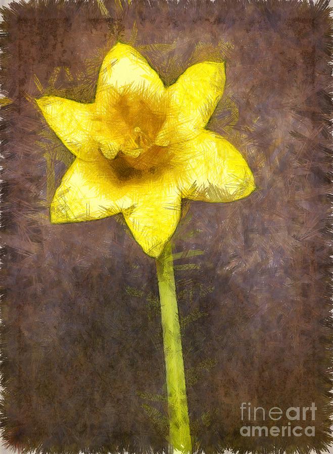 Spring Photograph - Daffodil Pencil by Edward Fielding