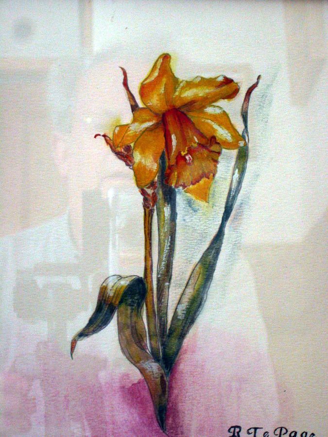 Daffodil Painting by Richard Le Page