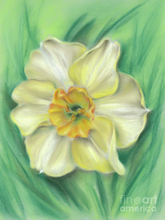 Daffodil Spring Floral Painting by MM Anderson