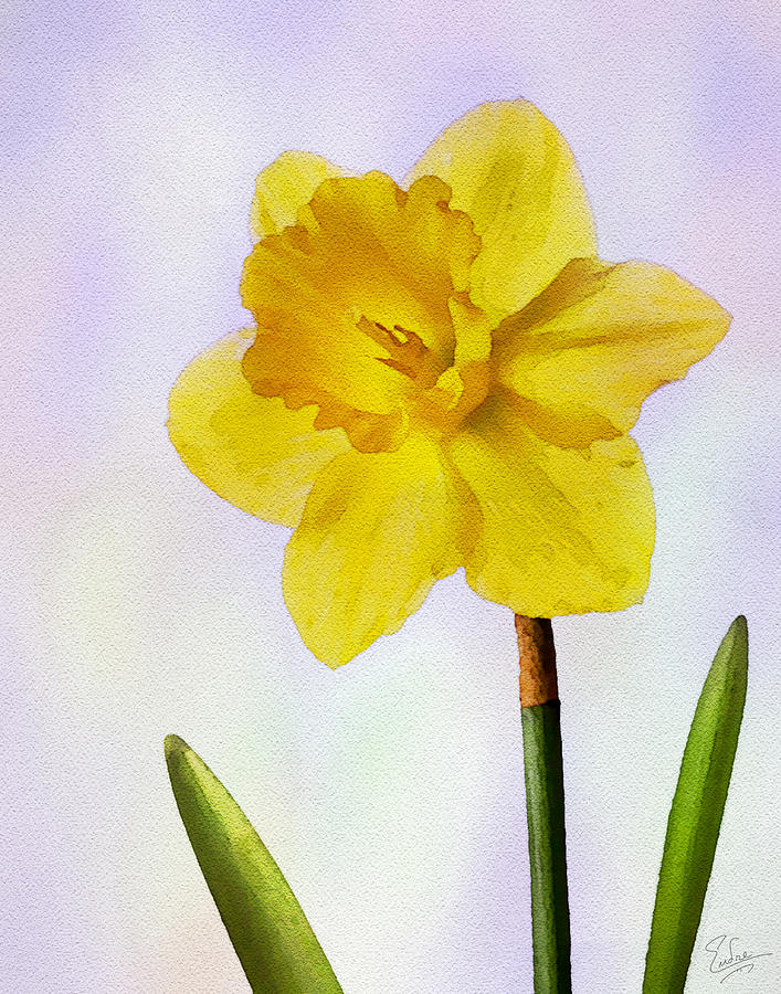 Daffodil Faux Watercolor Photograph by Endre Balogh