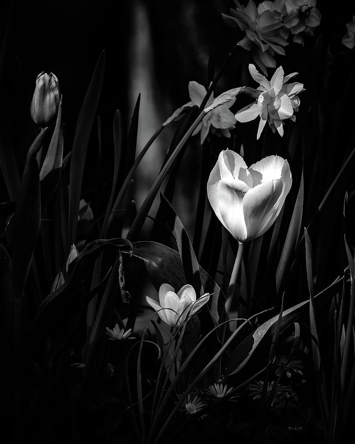 Daffodils and Tulips Photograph by Bob Orsillo