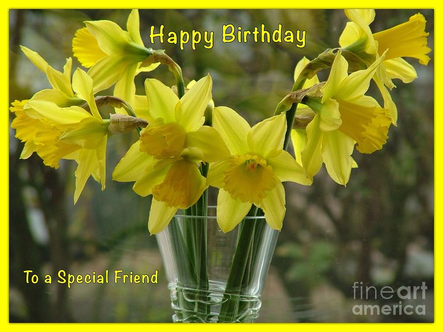 Daffodils Birthday Greeting Photograph by Joan-Violet Stretch