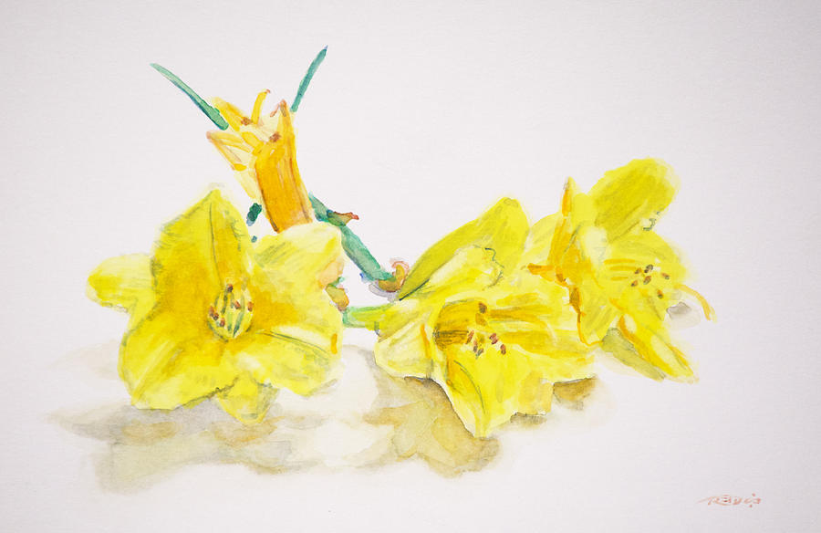 Daffodils Painting by Christopher Reid