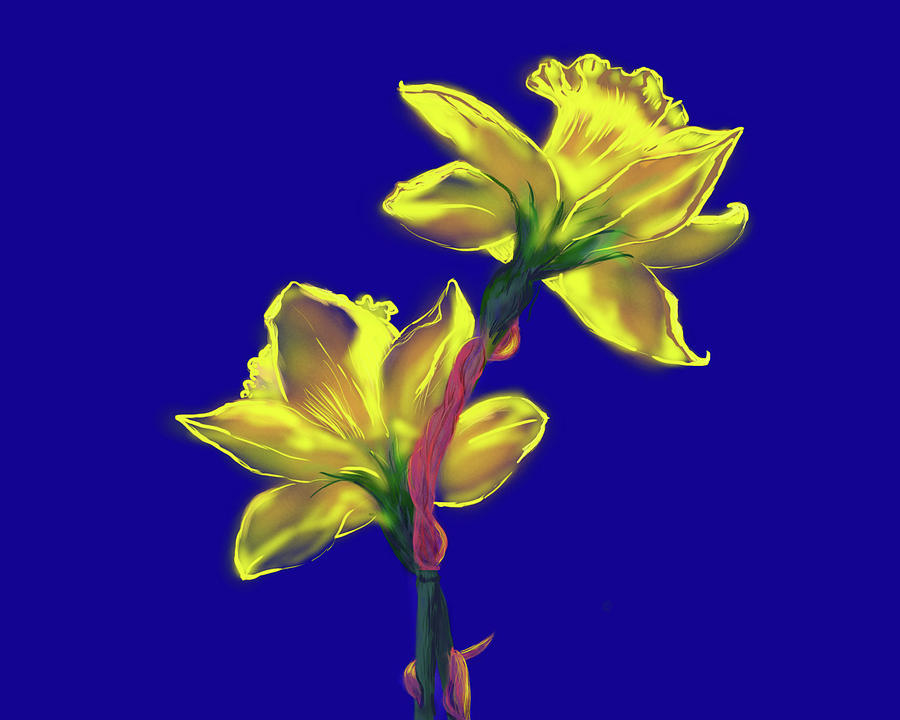 Daffodils Digital Art by Cynthia Westbrook