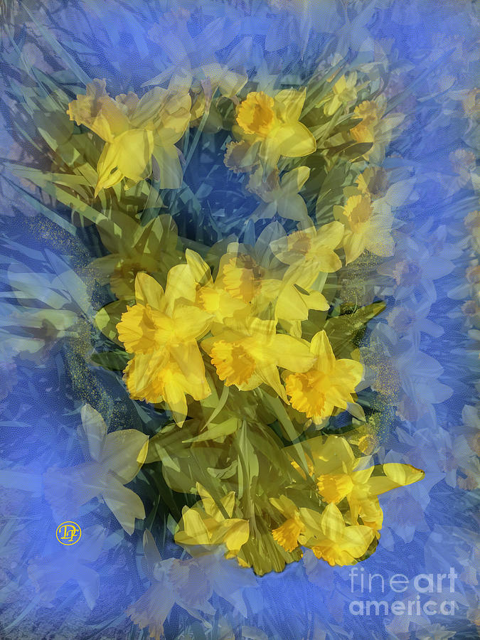 Flower Mixed Media - Daffodils by Dominique Fortier