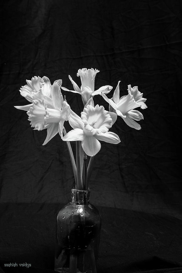 Daffodils in a Vase - Monochrome Photograph by Aashish Vaidya