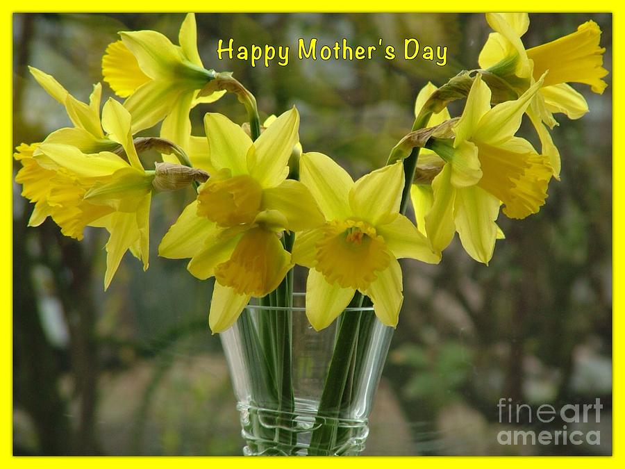 Daffodils Mothers Day Greeting Photograph by Joan-Violet Stretch