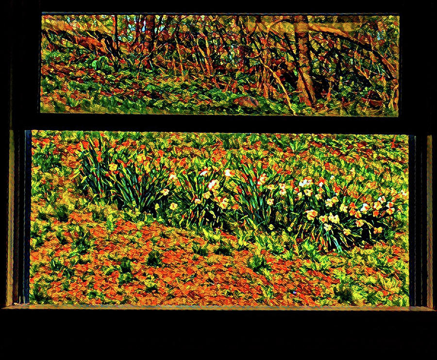 Daffodils Outside Digital Art