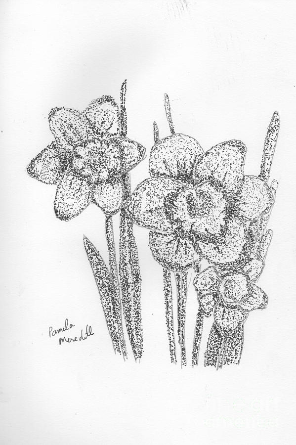 Pointillism Painting - Daffodils by Pamela Meredith
