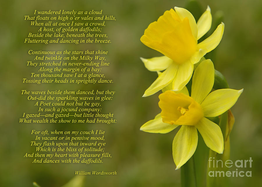 wordsworth daffodils