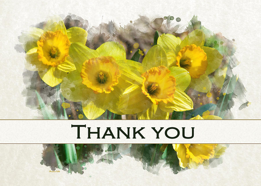 Daffodils Watercolor Thank You Card Mixed Media by Christina Rollo
