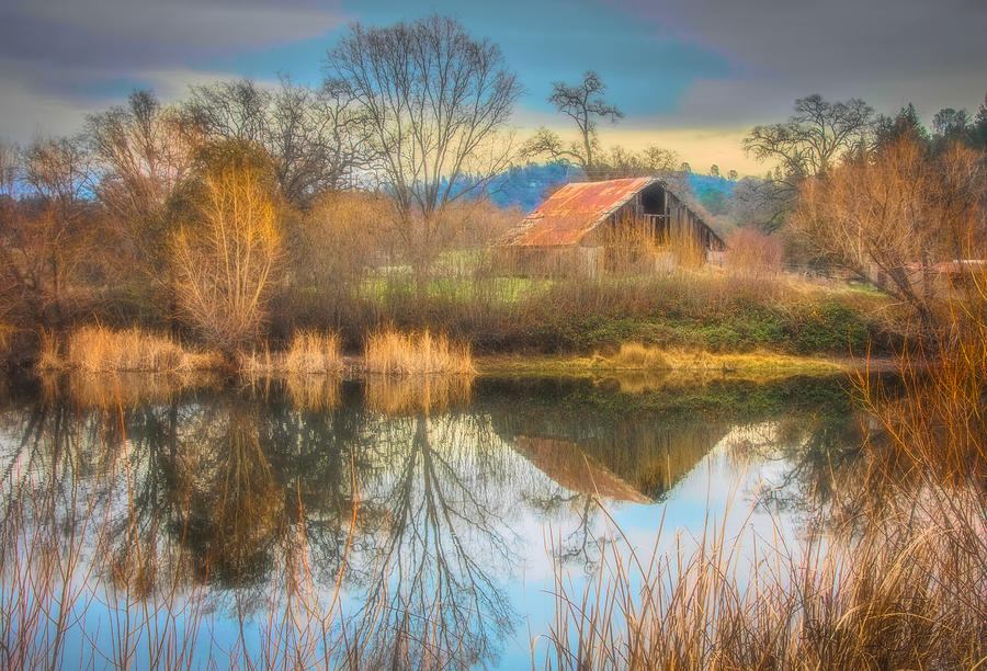 DAgostini Pond Photograph by Steph Gabler