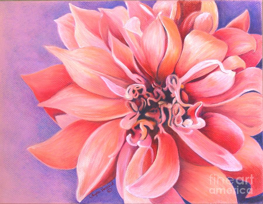 Dahlia 2 Drawing by Phyllis Howard