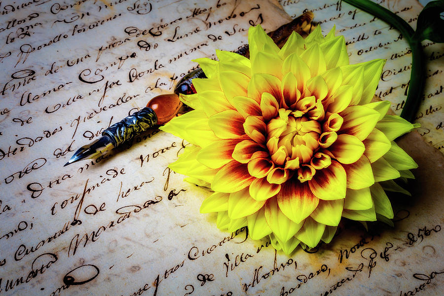 Dahlia And Old Letter Photograph by Garry Gay