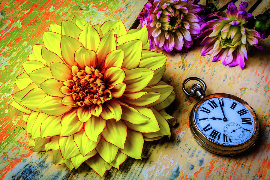 Dahlia And Pocket Watch Photograph by Garry Gay