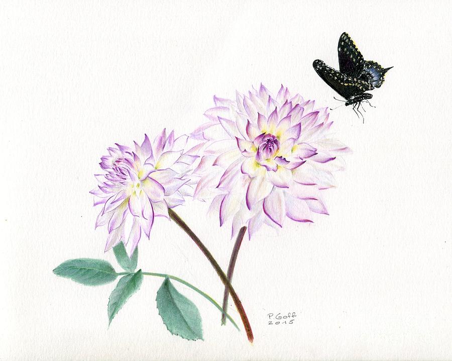 Dahlia Crazy Love by Penrith Goff Dahlia Crazy Love by Penrith Goff