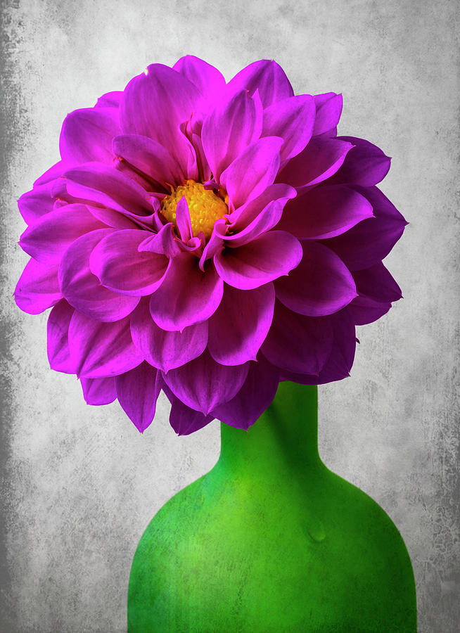 Dahlia In Green Vase Photograph by Garry Gay