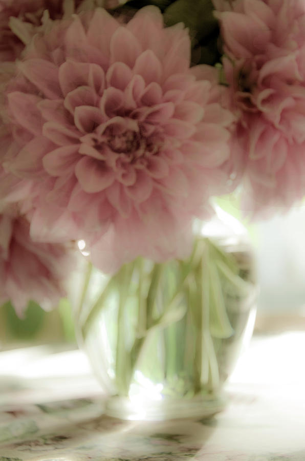 Flower Photograph - Dahlia in Vase by Marianne Hamer
