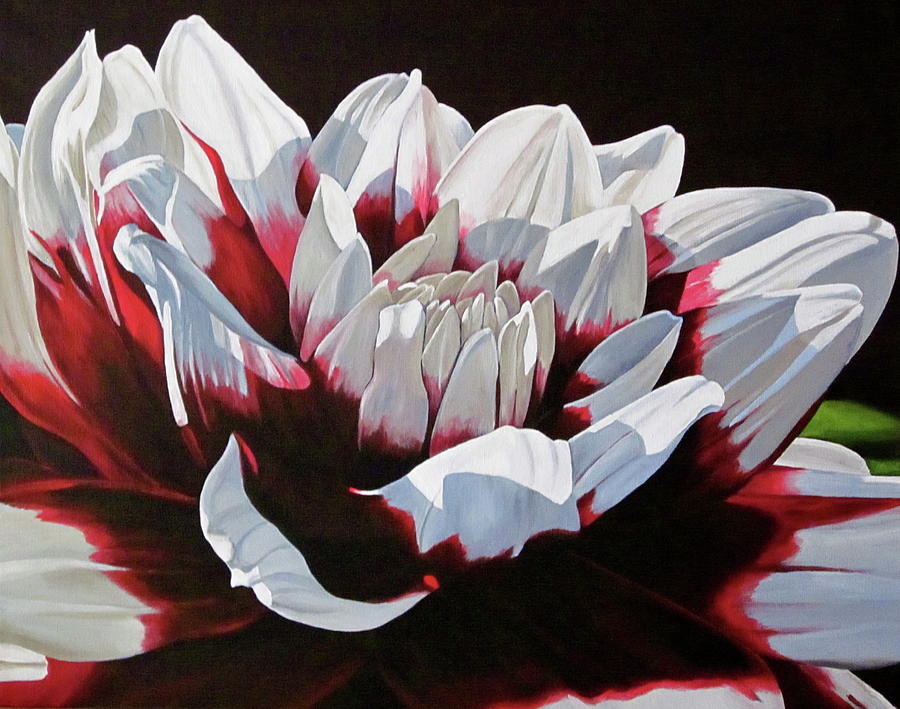 Flowers Still Life Painting - Dahlia by Lillian  Bell