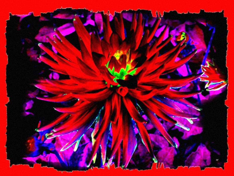 Dahlia Rouge Texture Avec La Frontiere  Digital Art by Will Borden